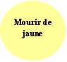 Ellipse: Mourir de jaune